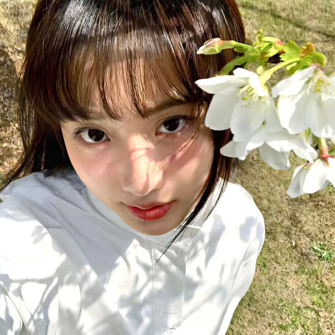 鬣狗式生存